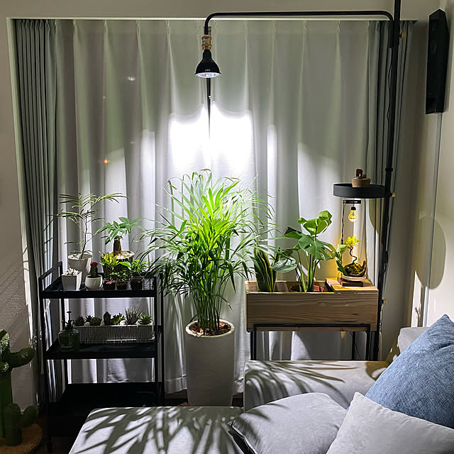 写真付きレビュー】AMATERAS 20W 植物育成用LED 口金E26 植物育成ライト アマテラス 観葉植物 テラリウム 沖縄別途送料 関東当日便の通販商品口コミ情報 | RoomClipショッピング 写真付きレビュー】AMATERAS 20W 植物育成用LED 口金E26 植物育成ライト アマテラス 観葉植物 テラリウム 沖縄別途送料 関東当日便の通販商品口コミ情報 | RoomClipショッピング