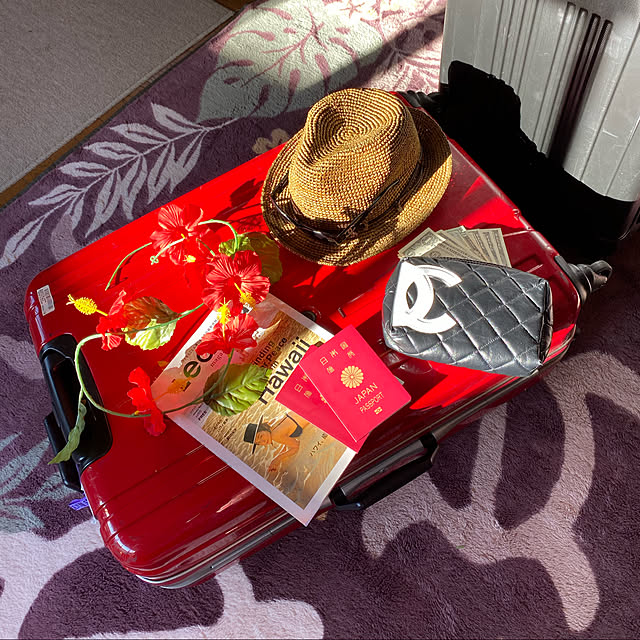 ポイント5倍 スーツケース Lサイズ フレームタイプ 軽量 キャリーバッグ キャリーケース 無料受託手荷物 158cm以内 人気 Tsa 連休 安い Suitcase 大型 キャリーバック Tsaロック かわいい おしゃれ レディース メンズ Ty051のレビュー クチコミとして参考になる投稿1枚