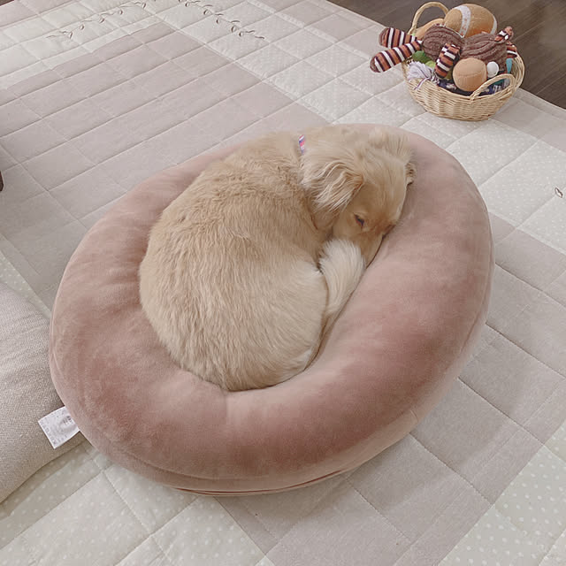 しまむら 猫クッションのまとめページ Roomclip ルームクリップ