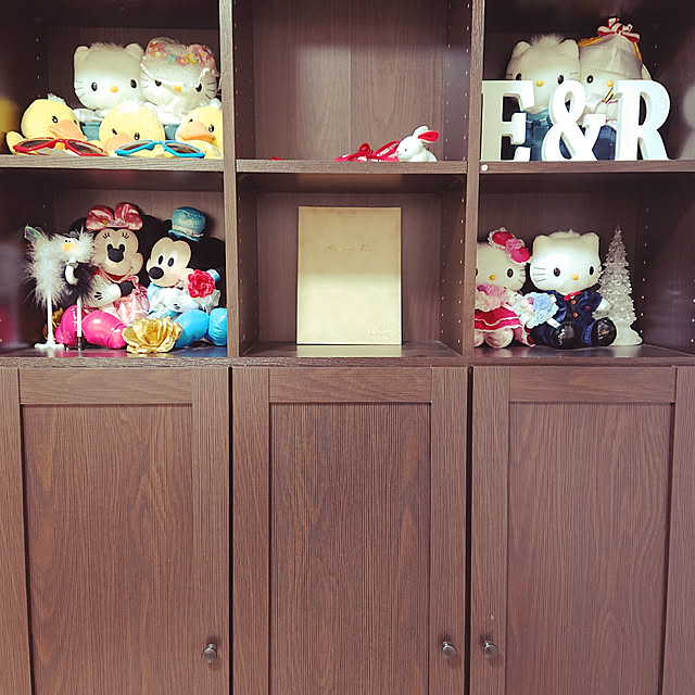 ニトリ 本棚 サラ Dbr のレビュー 口コミとして参考になる投稿4枚