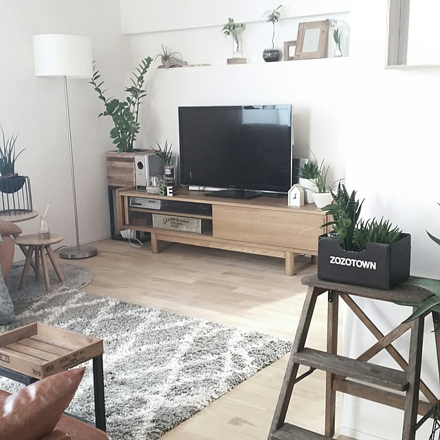 サンセベリア ファーンウッド ミカド 3号 サンスベリア 品薄 人気観葉植物 のレビュー クチコミとして参考になる投稿35枚 Roomclip ルームクリップ