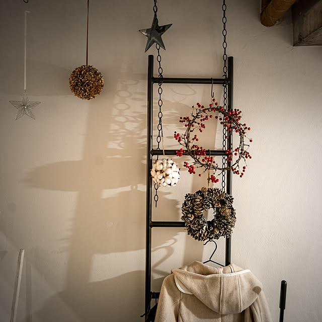 高品質 隙間インテリア Accent ラダーラック ピッコラ ラダー アイアン インテリア はしご シェルフ 壁面収納 おしゃれ シンプル はしご型 ハンガーラック ディスプレイ 飾り棚 ホワイト ブラック ブロンズ 白 黒 幅30cm ラダーハンガー コンパクトのレビュー