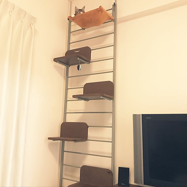 ボンビアルコン Bonbi キャットウォークのレビュー クチコミとして参考になる投稿13枚