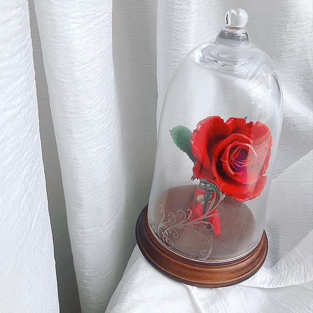 写真付きレビュー あす楽 結婚祝い プリザーブドプロポーズプロポーズ 誕生日 結婚記念日 プレゼント 美女と野獣 バラ ガラスドーム オルゴール プロポーズ メッセージ彫刻できます 枯れない薔薇 誕生日プレゼントの通販商品 口コミ情報 Roomclipショッピング