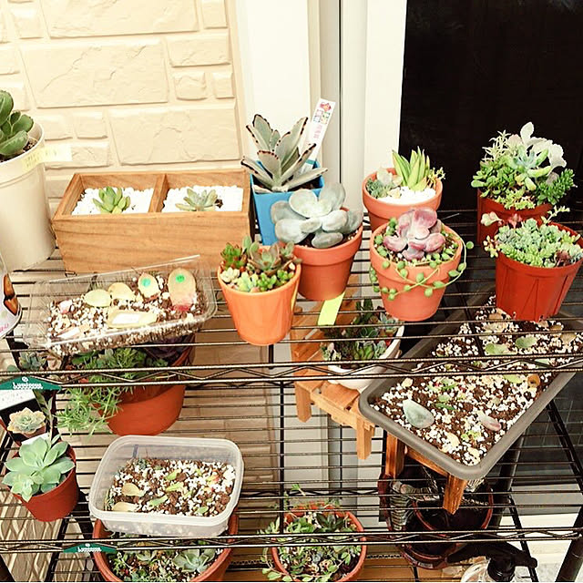 ドウシシャ 1年間メーカー保証 フラワースタンド 屋外 ガーデンラック 4段 幅60 頑丈 錆びにくい コンパクト 室内 おしゃれ プランタースタンド バルコニーラック プランターラック ベランダ収納 園芸用品 エクステリア ガーデニング用品 フラワーラック 植物 庭 防