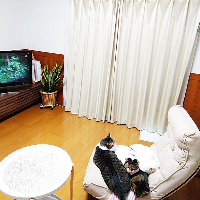 写真付きレビュー】サイドテーブル おしゃれ 丸 白 サイドワゴン 北欧 写真付きレビュー】サイドテーブル おしゃれ 丸 白 サイドワゴン 北欧