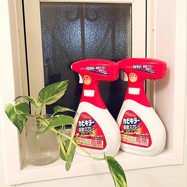 P G カビ取り カビキラー 電動スプレー 本体 750g 付け替え 750g まとめ買い 除菌 お風呂 カビ除去スプレー 掃除 浴槽のレビュー 口コミとして参考になる投稿2枚