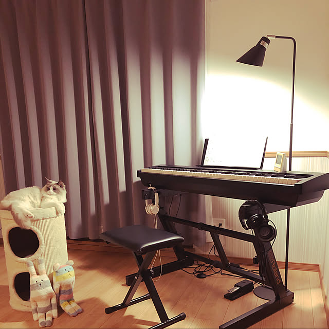 【写真付きレビュー】ROLAND Roland KS10Z キーボードスタンド [宅配便]の通販商品&口コミ情報 RoomClipショッピング