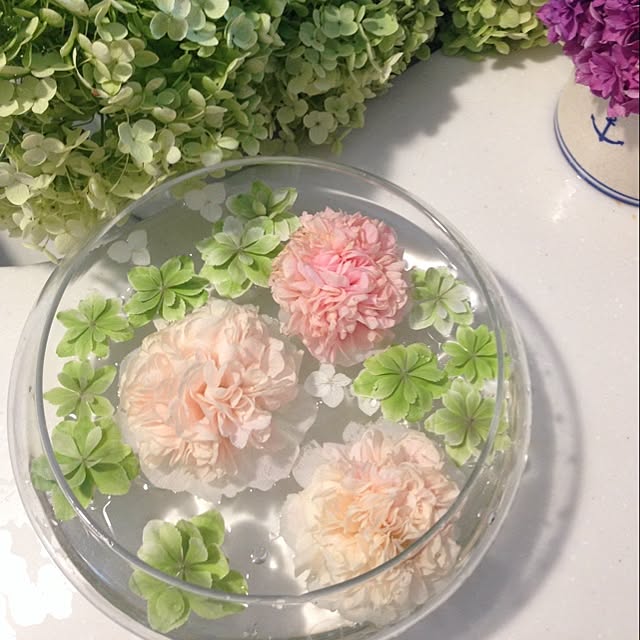 キッチン アナベル 紫陽花 可愛いお花 水に浮かべたお花 のインテリア実例 14 07 12 13 04 17 Roomclip ルームクリップ キッチン アナベル 紫陽花 可愛いお花 水に浮かべたお花 のインテリア実例 14 07 12 13 04 17 Roomclip ルームクリップ