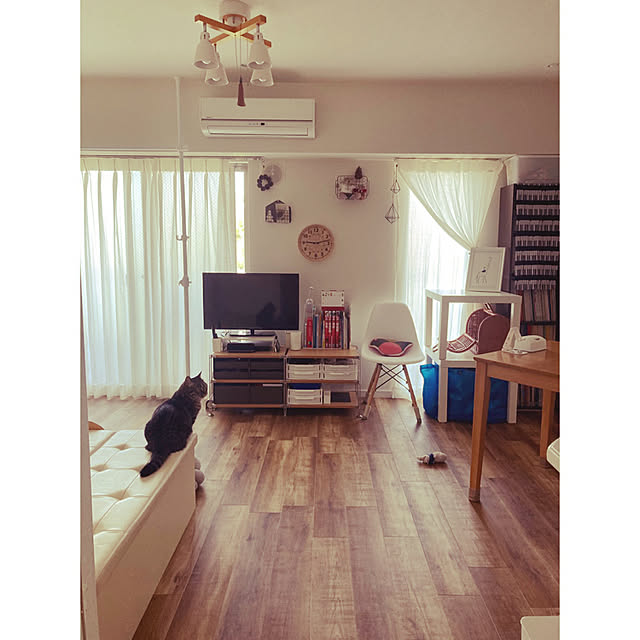 カラーボックス 幅40 5段 ダークブラウン ホワイト 木製 本棚 スリム ファイル収納 5段 サイズ キングファイル対応 書棚 本棚 オシャレ5段棚 カラーボックス 5段 収納棚 オフィス収納 おしゃれブックシェルフ ラック ナチュラル 送料無料 薄型 北欧 新生活の