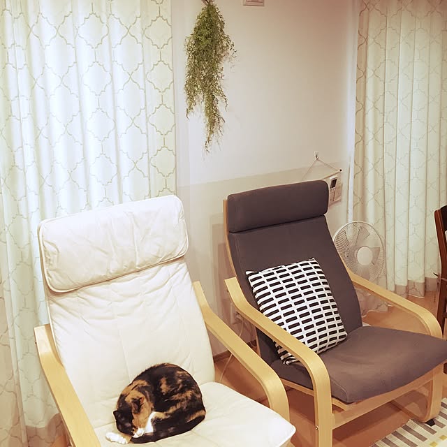 イケア Ikea Original Poang ポエング 組み合わせアームチェア用クッションシート フィーンスタ グレーのレビュー 口コミとして参考になる投稿8枚 Roomclip ルームクリップ イケア Ikea Original Poang ポエング 組み合わせアームチェア用クッションシート フィーンスタ グレーのレビュー 口コミとして参考になる投稿8枚 Roomclip ルームクリップ