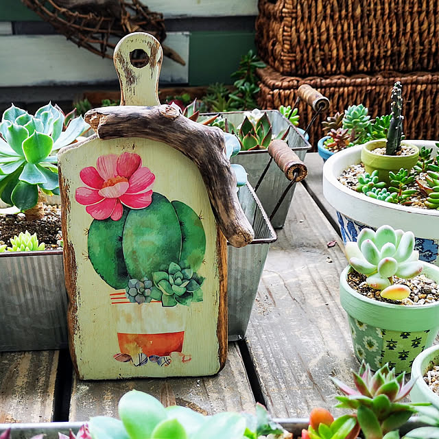 ウォールステッカー 植物 花 サボテン リーフ おしゃれ 壁紙シール グリーン 英字 風景 カフェ モダン 木 箱 ドア 北欧 窓 ピンク 紫 木と鳥 蝶 鉢植え 多肉植物 葉 和風 森 観葉植物 景観 背景 植木鉢 蔦 つた