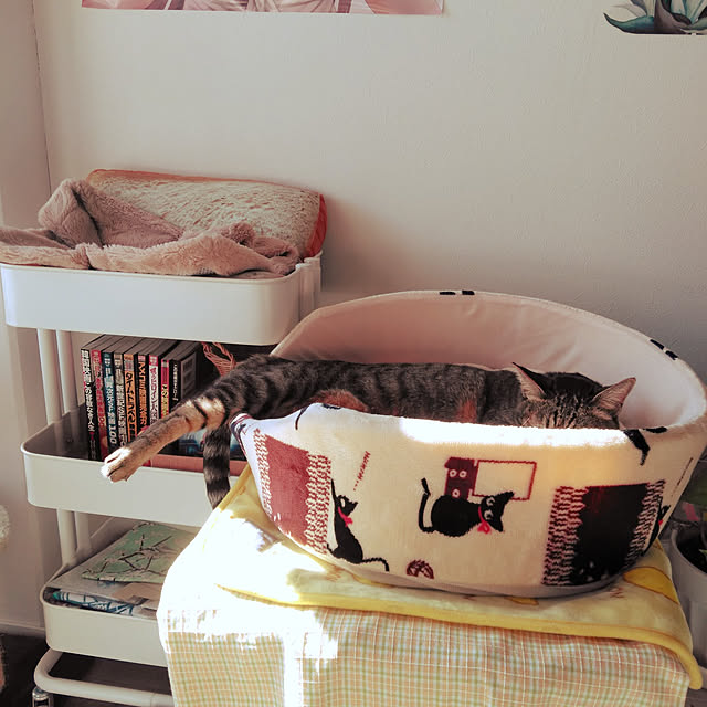 写真付きレビュー ふく福 面白い ふわふわ ペット犬猫用 ベッド クッション おもしろトースト パン 食べ物 クッション マット 食パン型座布団 40x40cmの通販商品 口コミ情報 Roomclipショッピング