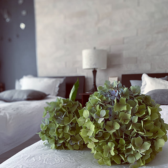 ニトリ シングルマットレス Nスリープ ラテックス C2 のレビュー 口コミとして参考になる投稿18枚 Roomclip ルームクリップ