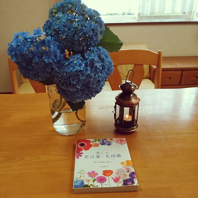 美しい花言葉 花図鑑 彩りと物語を楽しむのレビュー クチコミとして参考になる投稿1枚 Roomclip ルームクリップ 美しい花言葉 花図鑑 彩りと物語を楽しむのレビュー クチコミとして参考になる投稿1枚 Roomclip ルームクリップ
