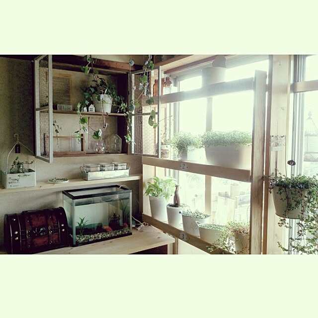 ベッド周り/団地/DIY/棚DIY/だってそれが…...などのインテリア実例 - 2016-03-20 08:08:46