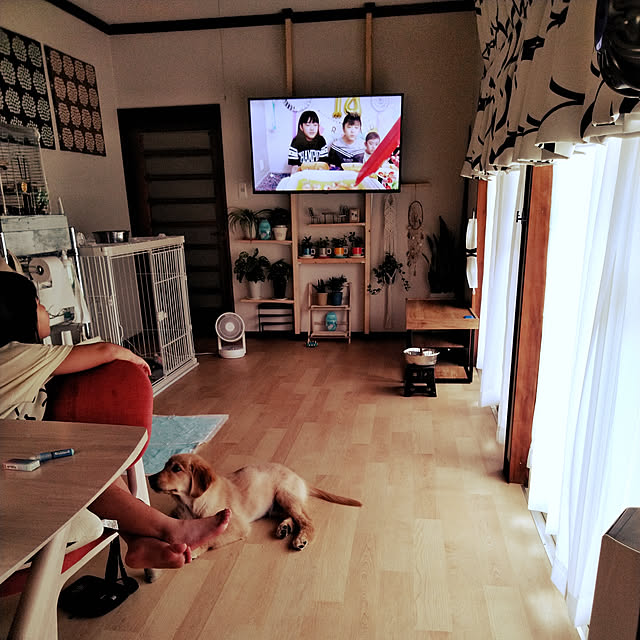 アイリスオーヤマ Iris Ohyama ペットサークル 犬用 小型犬 大型犬 犬 サークル ケージ 室内 広い おしゃれ 木製 木目調 ウッディサークル アイリスオーヤマ Pwsr 1280のレビュー 口コミとして参考になる投稿21枚 Roomclip ルームクリップ アイリスオーヤマ Iris Ohyama ペットサークル 犬用 小型犬 大型犬 犬 サークル ケージ 室内 広い おしゃれ 木製 木目調 ウッディサークル アイリスオーヤマ Pwsr 1280のレビュー 口コミとして参考になる投稿21枚 Roomclip ルームクリップ