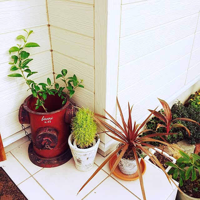 写真付きレビュー 友膳 アンティーク調のガーデニングポット ジャンクタップスタンドミニ レッドの通販商品 口コミ情報 Roomclipショッピング