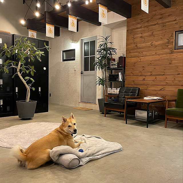 ロッカー おしゃれ スチールロッカー 6人用 ブラック 鍵付き スリム 3列2段 黒のレビュー クチコミとして参考になる投稿7枚