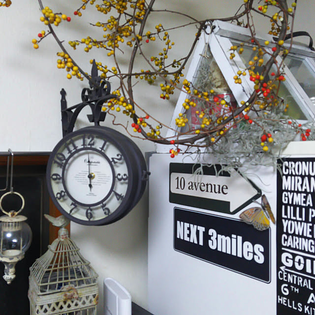 写真付きレビュー 1ポット ツルウメモドキ 9cmポット苗 樹木苗 苗木 つるもどきの通販商品 口コミ情報 Roomclipショッピング