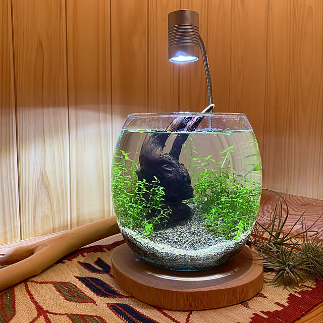 Gex グラスアクアリウム ドロップ 関東当日便のレビュー クチコミとして参考になる投稿4枚