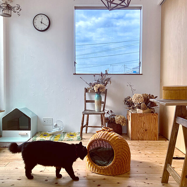 キャットハウス S ペットベッド ドーム 卵型 猫用ベッド フェルト かまくら型 ペットハウス ドーム型 37x46cm ネコ  ねこのレビュー・クチコミとして参考になる投稿1枚 | RoomClipショッピング