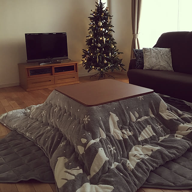 ニトリ こたつふとんセット 正方形 ポーラベアg セイ 送料有料 玄関先迄納品 のレビュー 口コミとして参考になる投稿2枚 Roomclip ルームクリップ