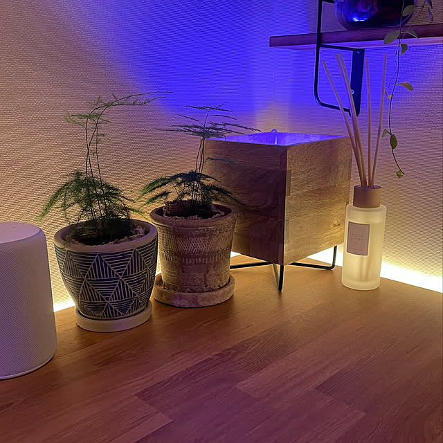 Spice Of Life スパイス 植木鉢 オリンポス プランター ブラウン Lサイズ 受け皿付き 底穴あり 直径17 5cm 高さ17 5cm Ccgk1913のレビュー クチコミとして参考になる投稿5枚 Roomclip ルームクリップ