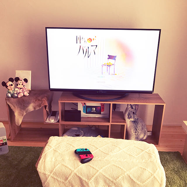 ディズニープリンセスのベビーグッズも大集合 木製 国産 テレビラック テレビボード ローボード 高さ34cm 幅90cm ロータイプ ブラウン テレビ台 リビング収納 As28a モダン 収納家具 幅100cm Labelians Fr