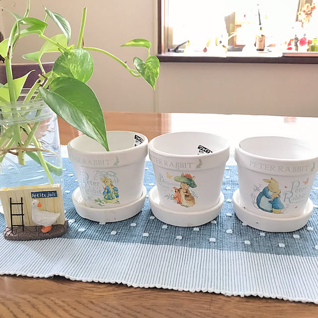 ピーターラビット カラフル 植木鉢 Large ピーター プランター 鉢 かわいい テラコッタ キャラクター 小さい ホワイト 絵柄 受け皿付き 小型 白い ソーサー付き 白色 おしゃれのレビュー クチコミとして参考になる投稿1枚 Roomclip ルームクリップ ピーターラビット カラフル 植木鉢 Large ピーター プランター 鉢 かわいい テラコッタ キャラクター 小さい ホワイト 絵柄 受け皿付き 小型 白い ソーサー付き 白色 おしゃれのレビュー クチコミとして参考になる投稿1枚 Roomclip ルームクリップ