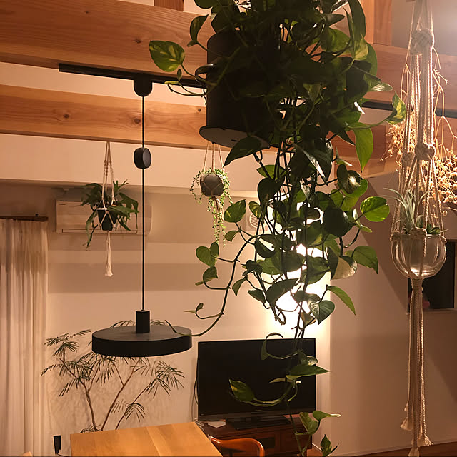 プラントハンガー プランターカバー ハンギング 吊り下げ インテリア雑貨 観葉植物用グッズ ロープ おしゃれ 屋外350円 ナチュラル 屋内 つるす