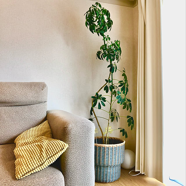IKEA イケア クッション イエロー 黄 65x30cm z00428224 GULLKLOCKA ...
