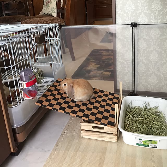 ニトリ 弾力に優れている木目調ジョイントマット 30 30cm 9枚入り Nモクメチョウ Na 9p 玄関先迄納品 のレビュー 口コミとして参考になる投稿2枚 Roomclip ルームクリップ