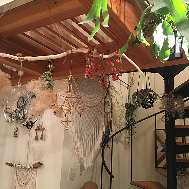 オキナワスズメウリの種のレビュー クチコミとして参考になる投稿4枚