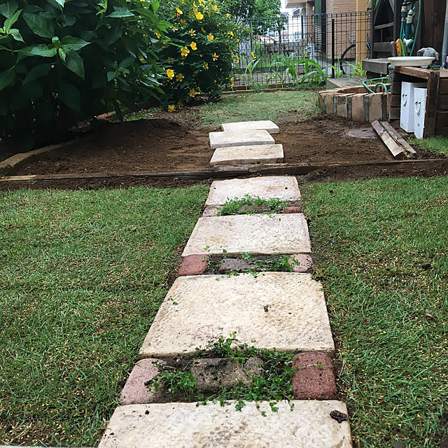 芝生 天然芝 姫高麗芝 ヒメコウライ芝 ロール巻芝 芝生 通販 のレビュー クチコミとして参考になる投稿4枚 Roomclip ルームクリップ
