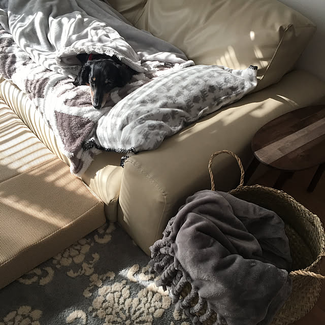 訳あり 長座布団カバー おしゃれ 59 110cm あったか フランネル ロングクッション カバー ごろ寝 711 8のレビュー クチコミとして参考になる投稿4枚 Roomclip Item