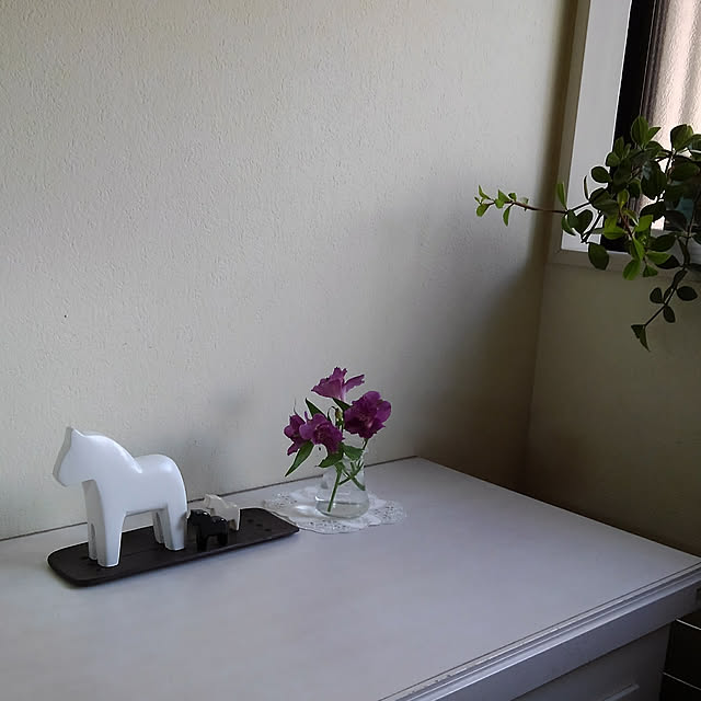 写真付きレビュー ペペロミア アングラータ 観葉植物 9cmポット の通販商品 口コミ情報 Roomclipショッピング