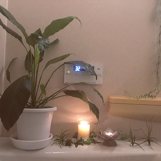 カピスシェルでできた蓮の花のようなキャンドルホルダーsサイズ 3色展開 貝殻 ろうそく立て キャンドル立て ろうそくたて ろうそくスタンド キャンドルスタンド キャンドルランプ キャンドルランタン バリ 雑貨 アジアン雑貨 M 114 のレビュー クチコミとして参考になる