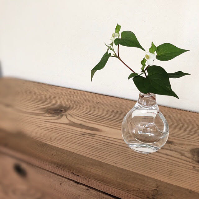 ドクダミの花 5 22 フラワーベース 酒器 ニトリ などのインテリア実例 05 22 08 36 38 Roomclip ルームクリップ
