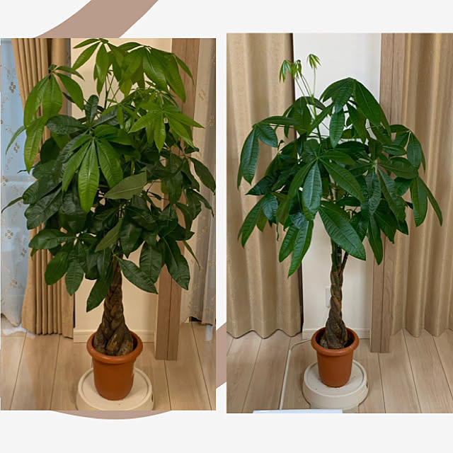 Wrzvdm2vlphn9m Wrzvdm2vlphn9m