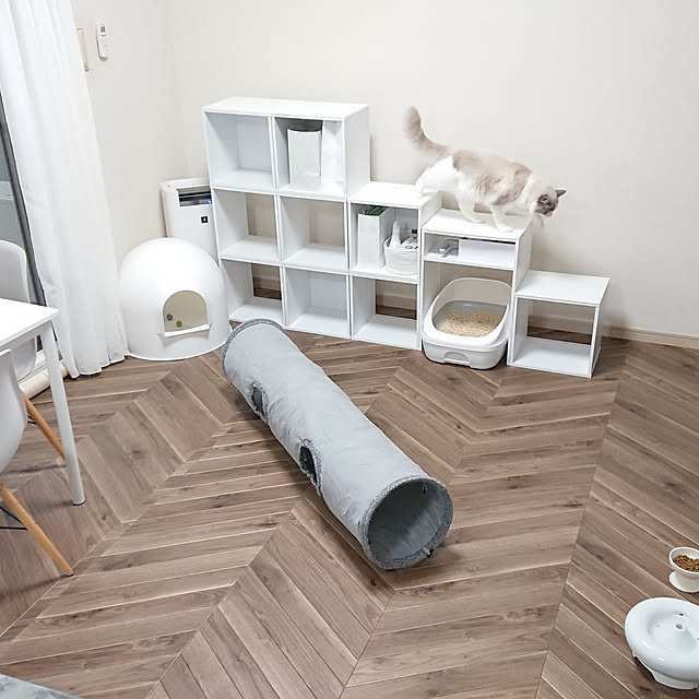 ジェックス ピュアクリスタルセラミックス 猫用 Gex 給水器 清潔 ペット 水飲み 自動給水器 循環式 W のレビュー クチコミとして参考になる投稿6枚 Roomclip ルームクリップ ジェックス ピュアクリスタルセラミックス 猫用 Gex 給水器 清潔 ペット 水飲み 自動給水器 循環式 W のレビュー クチコミとして参考になる投稿6枚 Roomclip ルームクリップ