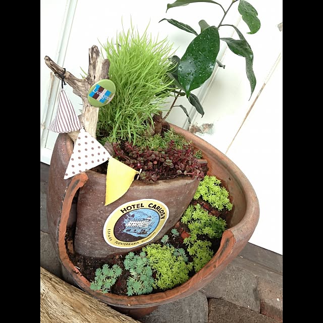 玄関/入り口/花/植物/ガーデニング/DIY...などのインテリア実例 - 2015-05-05 16:18:07