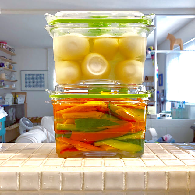 【写真付きレビュー】FoodSaver Fresh Containers Vacuum Sealing, Works with All