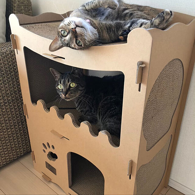 えびす-Japan 【RAKU】猫用爪とぎ キャットハウス キャットタワー 