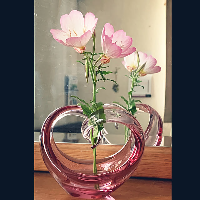 魅力的な 一輪挿し ハート ハート ハート ハート花瓶 一輪挿し 花瓶 花瓶 一輪挿し Smartechemoto Com 魅力的な 一輪挿し ハート ハート ハート ハート花瓶 一輪挿し 花瓶 花瓶 一輪挿し Smartechemoto Com