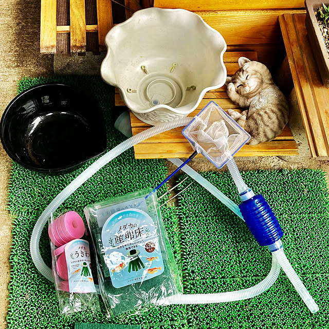 セリア Seria ザリガニ飼育のまとめページ Roomclip ルームクリップ セリア Seria ザリガニ飼育のまとめページ Roomclip ルームクリップ