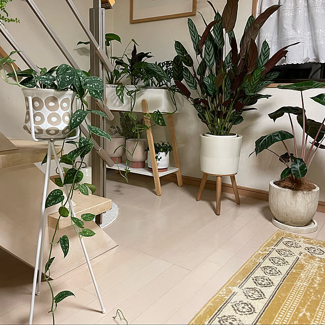 写真付きレビュー 資材 イェンニ13 Farmのおしゃれ鉢カバー フラワーポット Farm 植木鉢 鉢カバー 観葉植物にプラス商品 鉢 器 ポット おしゃれ鉢 鉢植 植え替え用 植替 鉢カバー Farmイェンニ13w バレンタイン ホワイトデーの通販商品 口コミ情報