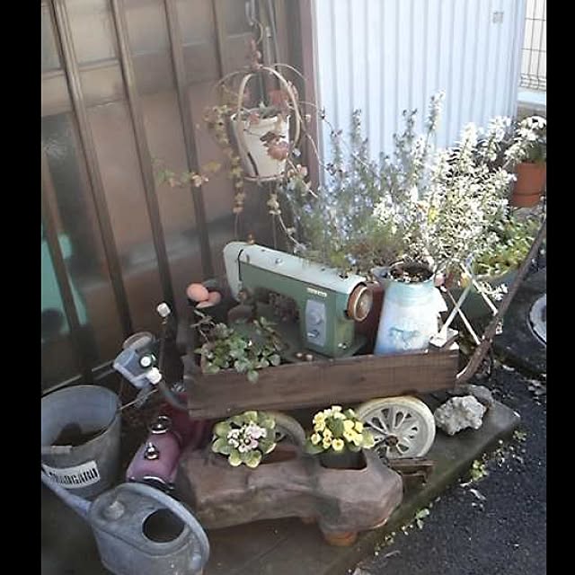 玄関/入り口/雑貨/junk/ブリキ/ハーブのインテリア実例 - 2016-03-19 17:38:28