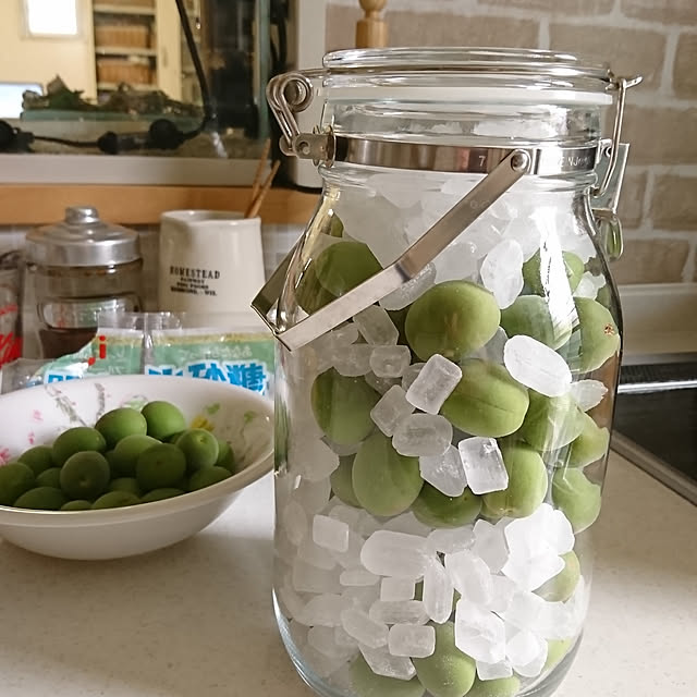 ニトリ 果実酒ビン トッテツキ 1 5l Gr のレビュー 口コミとして参考になる投稿1枚 Roomclip Item