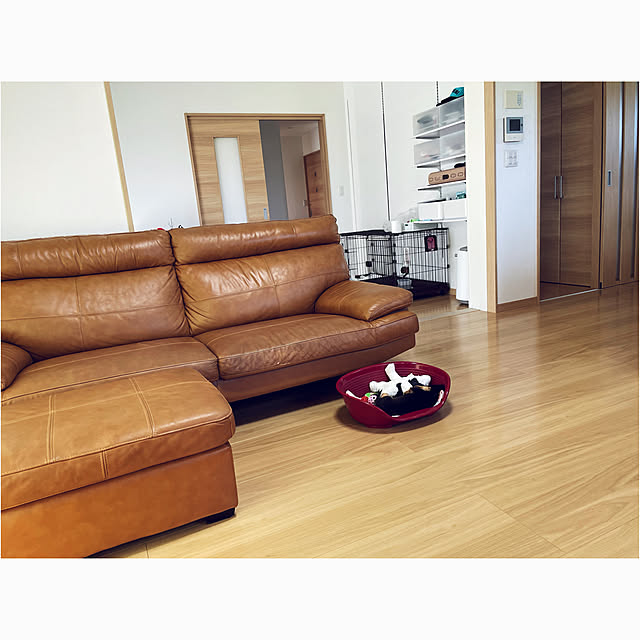 犬 猫 ケージ 犬ケージ ゲージ サークル アイリスオーヤマ ペットサークル コンビネーションサークル用パーツ 屋根 小 P Cs 470y 今だけポイント10倍 送料無料カード決済可能